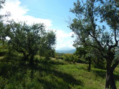 Rustici e Casali in Vendita a Controguerra #9