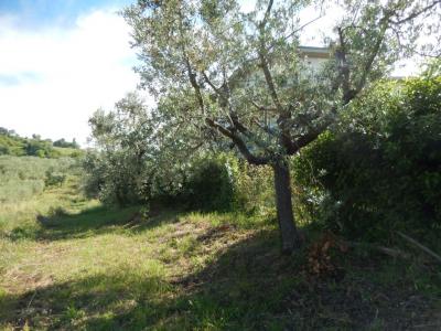 Rustici e Casali in Vendita a Controguerra #15
