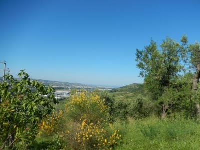 Terreno Agricolo in Vendita a Controguerra #13