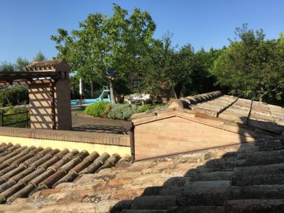 Rustici e Casali in Vendita a Monte San Giusto #14