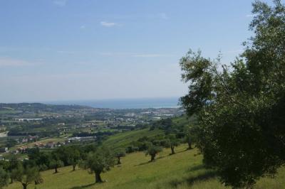 Rustici e Casali in Vendita a Montefiore dell'Aso #17