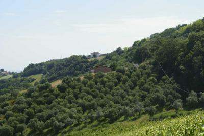 Rustici e Casali in Vendita a Montefiore dell'Aso #22