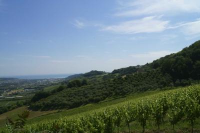 Rustici e Casali in Vendita a Montefiore dell'Aso #23