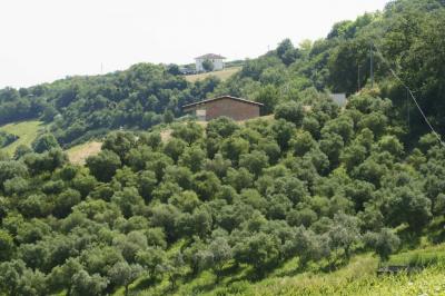 Rustici e Casali in Vendita a Montefiore dell'Aso #24