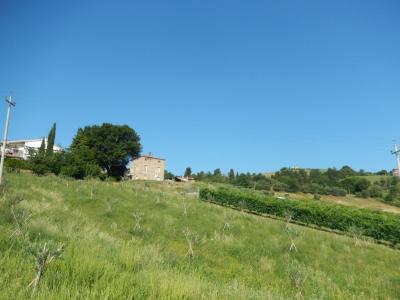 Rustici e Casali in Vendita a Offida #15