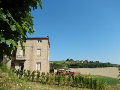 Rustici e Casali in Vendita a Offida #2