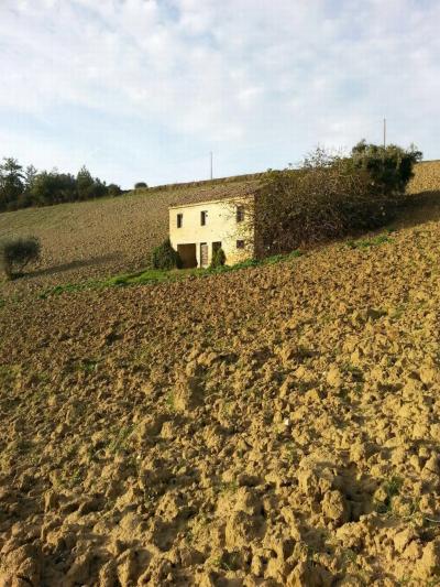 Rustici e Casali in Vendita a Montelparo #3
