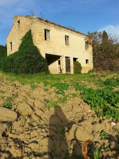 Rustici e Casali in Vendita a Montelparo #2