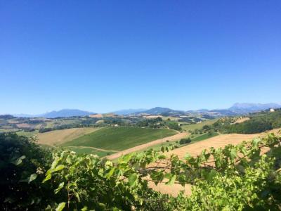 Rustici e Casali in Vendita a Montelparo #5
