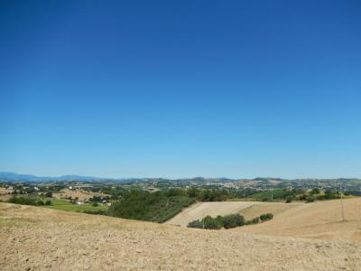 Rustici e Casali in Vendita a Montelparo #9
