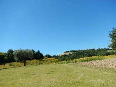 Rustici e Casali in Vendita a Montelparo #10