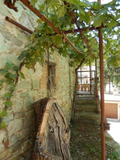 Rustici e Casali in Vendita a Rotella #13