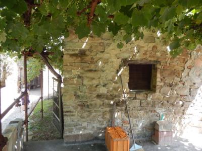 Rustici e Casali in Vendita a Rotella #5