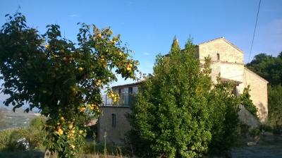 Strutture ricettive in Vendita a Acquaviva Picena #4