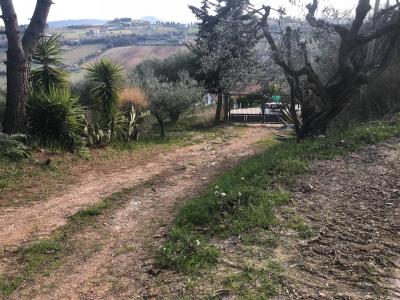Rustici e Casali in Vendita a Monteprandone #26