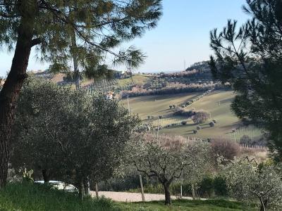 Rustici e Casali in Vendita a Monteprandone #27