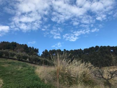Rustici e Casali in Vendita a Monteprandone #29