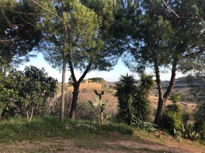 Rustici e Casali in Vendita a Monteprandone #30