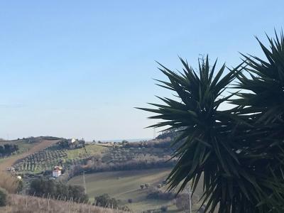 Rustici e Casali in Vendita a Monteprandone #32
