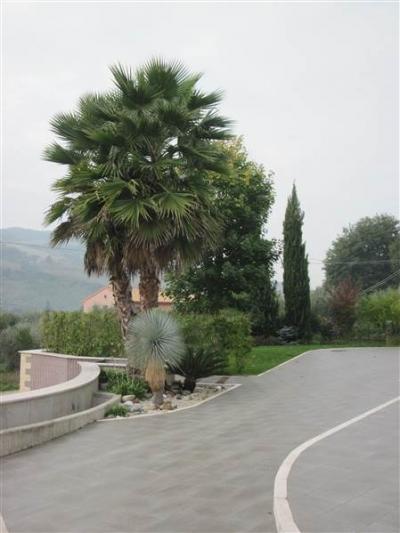 Ville di Prestigio in Vendita a Grottammare #18