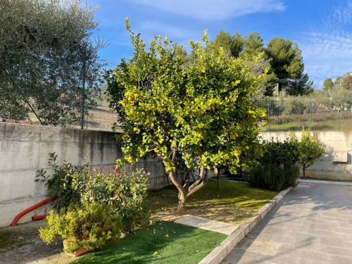 Ville di Prestigio in Vendita a Grottammare #22