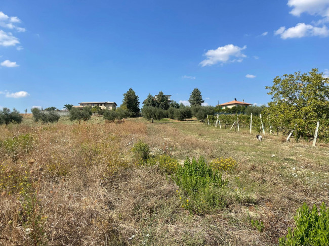 Rustici e Casali in Vendita a Offida #19