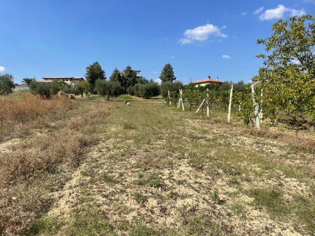 Rustici e Casali in Vendita a Offida #20