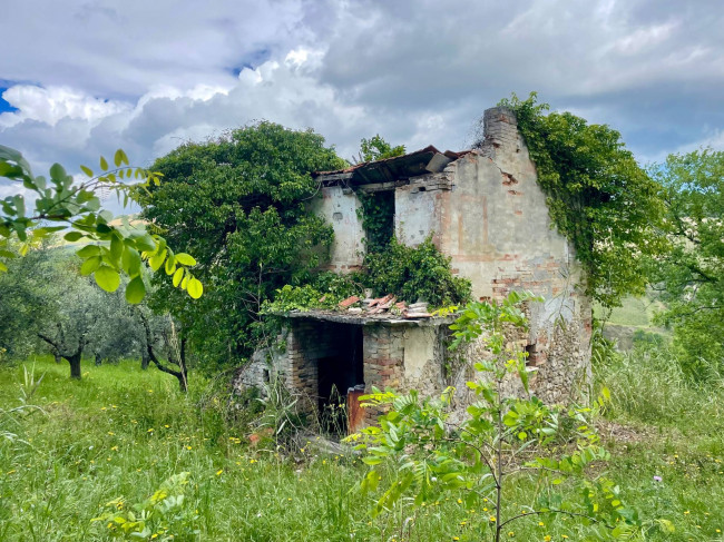 Rustici e Casali in Vendita a Monteprandone #18