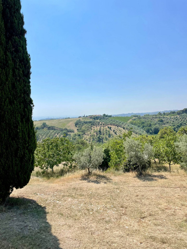 Rustici e Casali in Vendita a Ripatransone #11