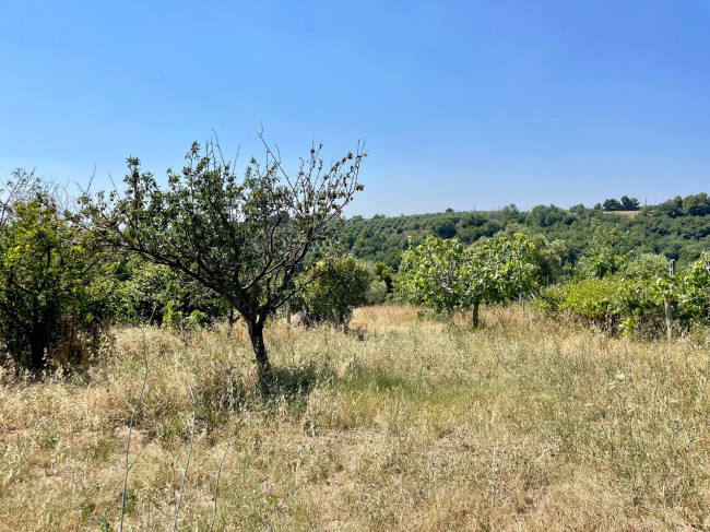 Rustici e Casali in Vendita a Ripatransone #19