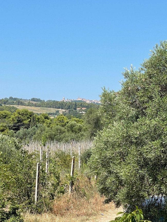 Rustici e Casali in Vendita a Ripatransone #23