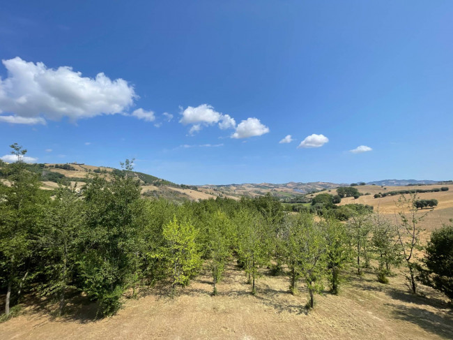 Rustici e Casali in Vendita a Castignano #20