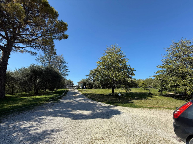 Case indipendenti in Vendita a Cupra Marittima #39