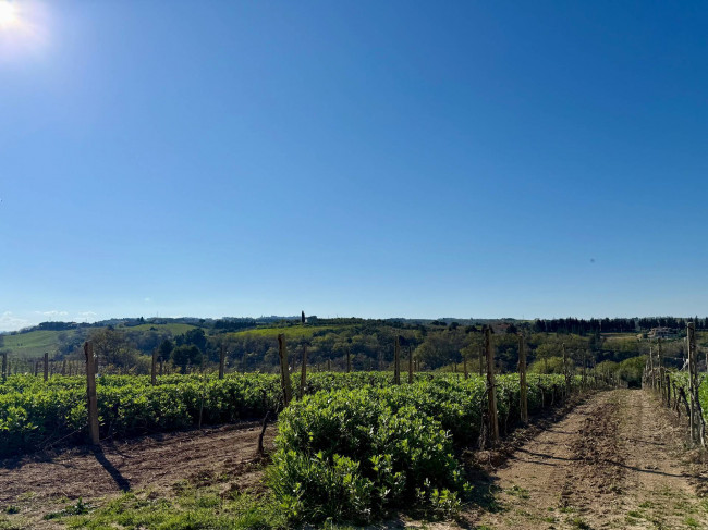 Rustici e Casali in Vendita a Ripatransone #28