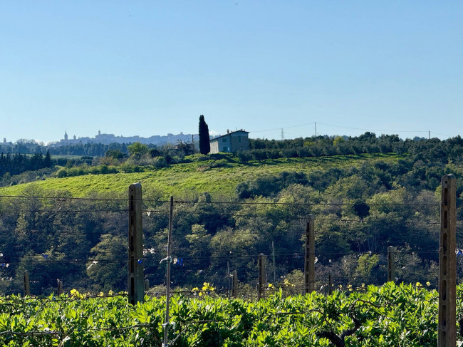 Rustici e Casali in Vendita a Ripatransone #30