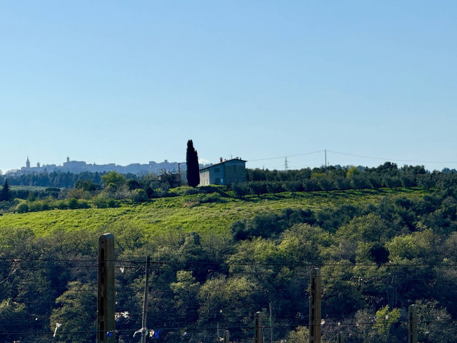 Rustici e Casali in Vendita a Ripatransone #2