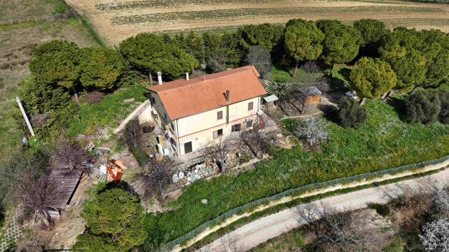 Rustici e Casali in Vendita a Ripatransone #3