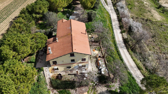 Rustici e Casali in Vendita a Ripatransone #7