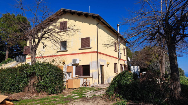 Rustici e Casali in Vendita a Ripatransone #8