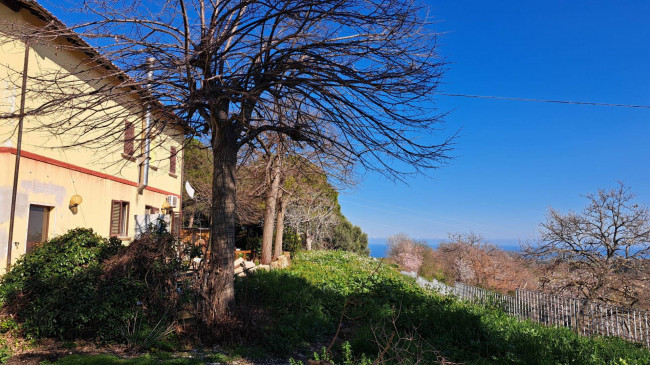 Rustici e Casali in Vendita a Ripatransone #9