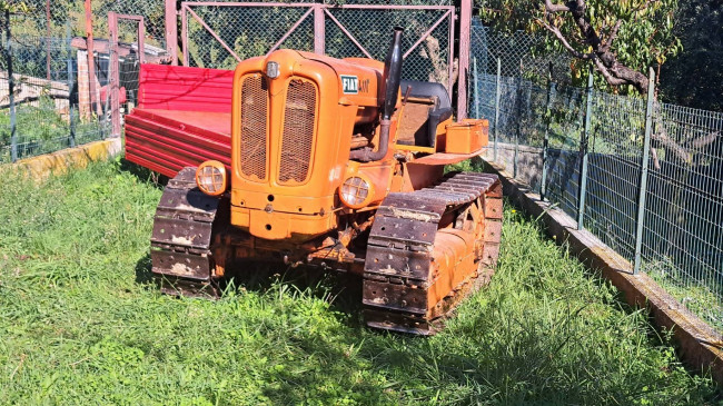 Rustici e Casali in Vendita a Campofilone #18