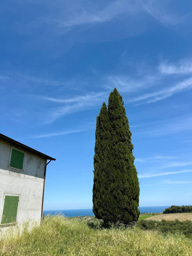 Rustici e Casali in Vendita a Ripatransone #34
