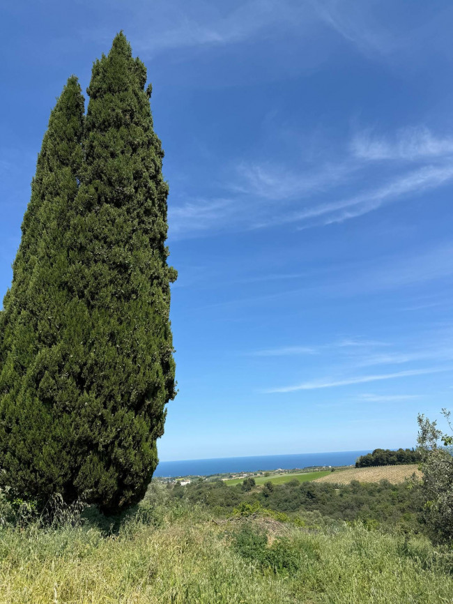 Rustici e Casali in Vendita a Ripatransone #36