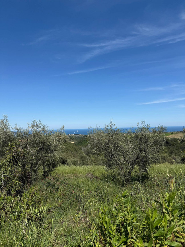 Rustici e Casali in Vendita a Ripatransone #44