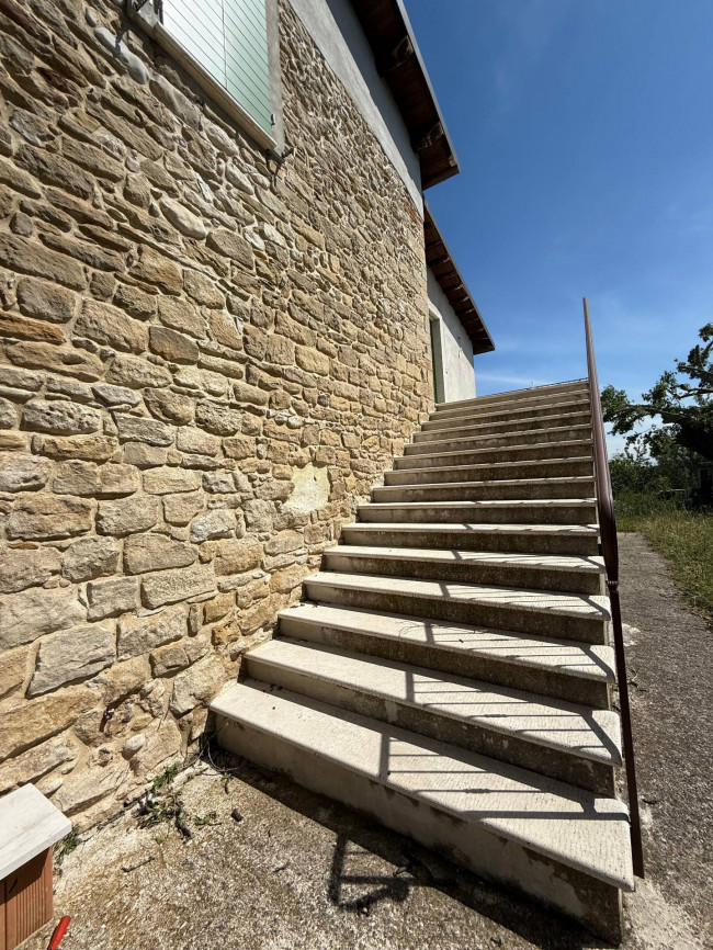 Rustici e Casali in Vendita a Ripatransone #48