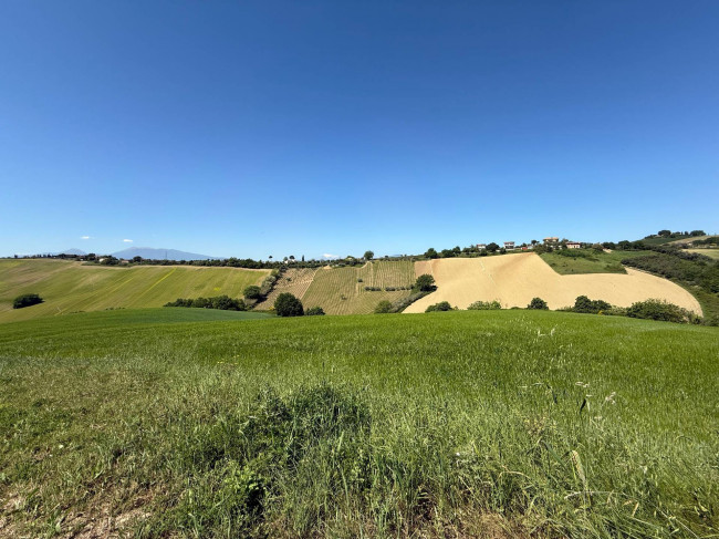 Rustici e Casali in Vendita a Monteprandone #19