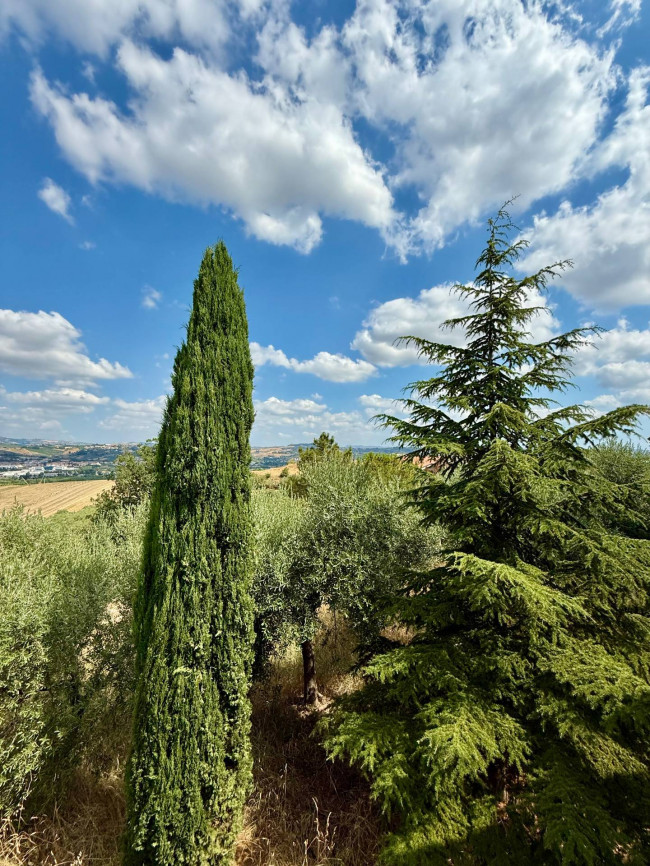 Rustici e Casali in Vendita a Ancarano #15