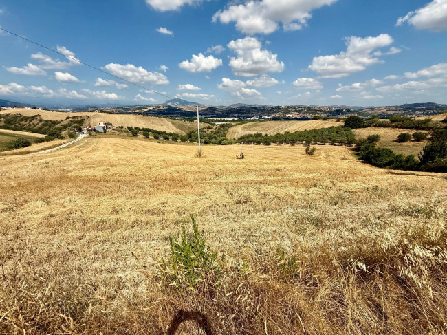 Rustici e Casali in Vendita a Ancarano #22