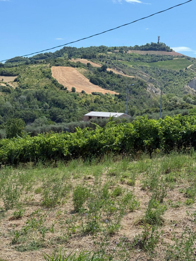 Rustici e Casali in Vendita a Ripatransone #2