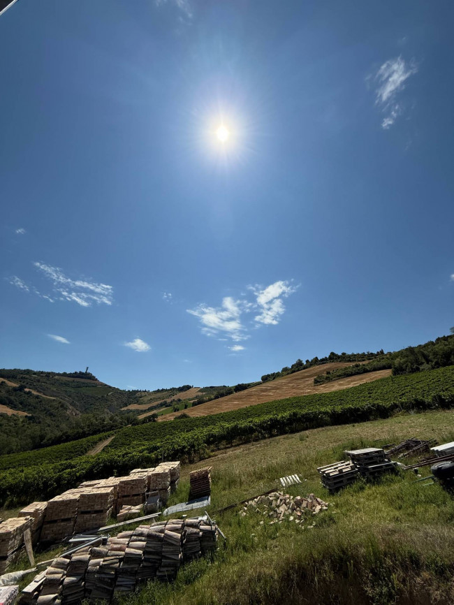 Rustici e Casali in Vendita a Ripatransone #9